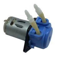 Perisztaltikus szivattyú konzollal a panelbe - 12V, 19 ~ 100mL/perc